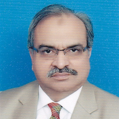Hasnain Ali Shah