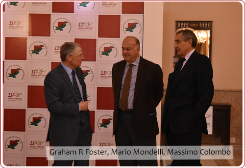 Graham R Foster Mario Mondelli Massimo Colombo 88